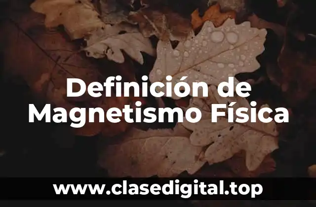 Definición de Magnetismo Física