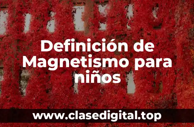 Definición de Magnetismo para niños