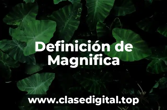 Definición de Magnifica