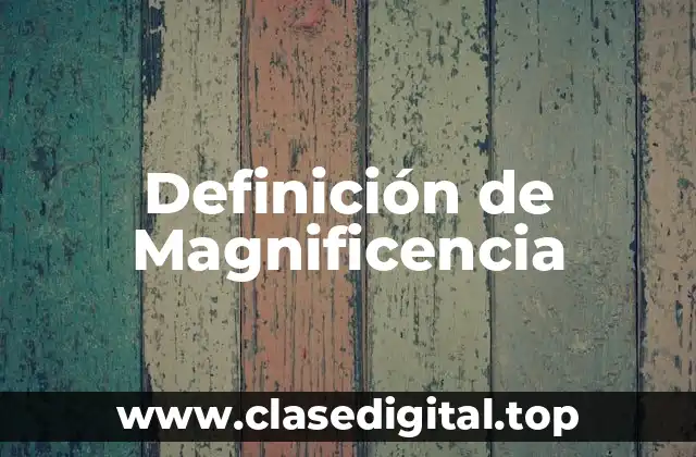 Definición Técnica de Magnificencia