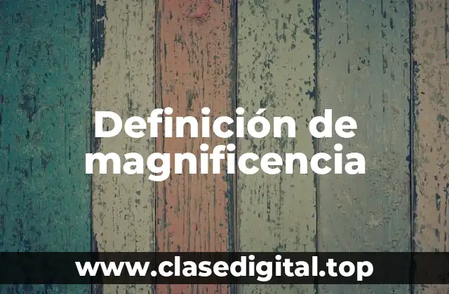 Definición de magnificencia