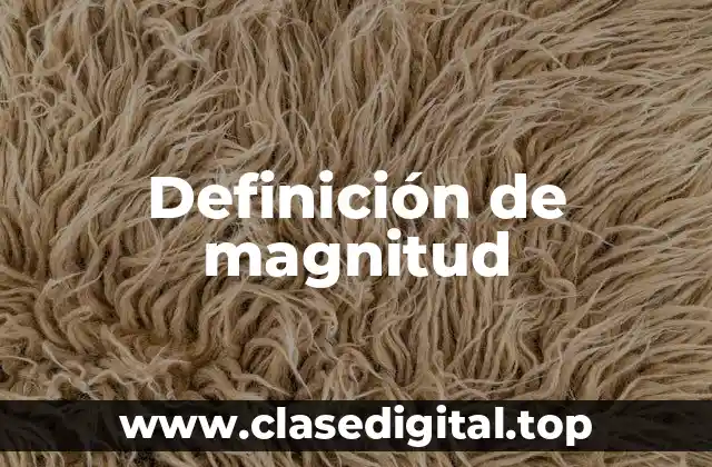 Ejemplos de magnitud