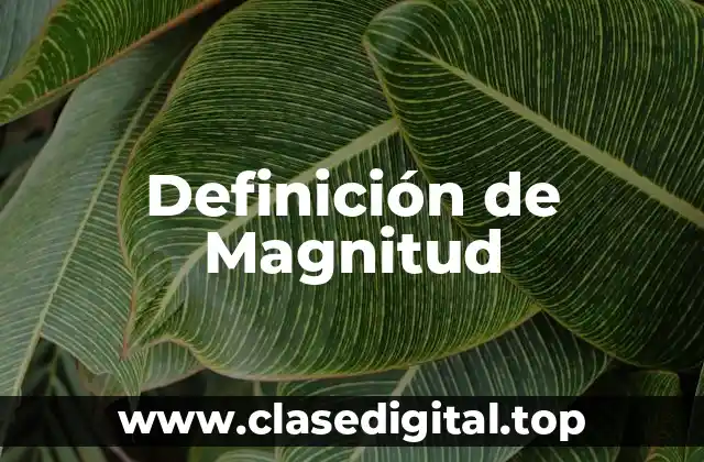Ejemplos de Magnitud