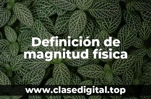 Definición técnica de magnitud física