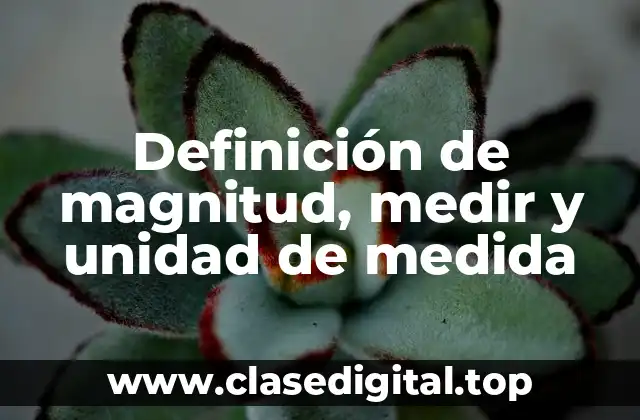 Definición de magnitud, medir y unidad de medida