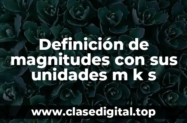 Ejemplos de magnitudes con sus unidades m k s