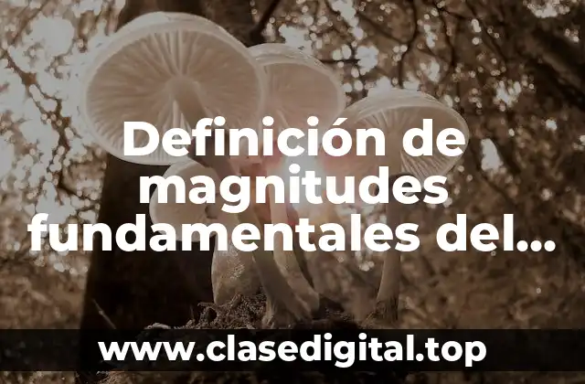 Definición de magnitudes fundamentales del sistema métrico