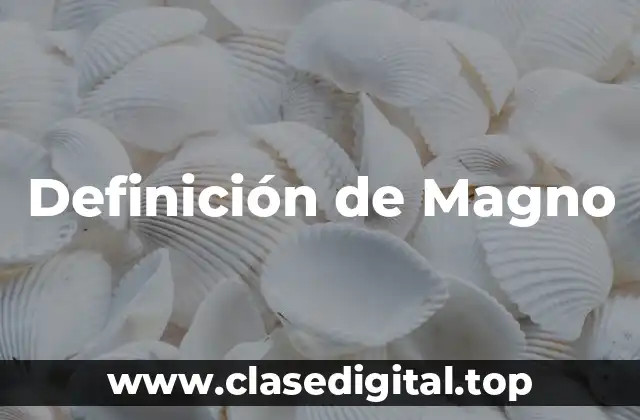 Definición de Magno