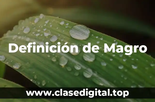Definición Técnica de Magro