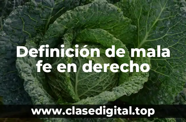 Definición de mala fe en derecho