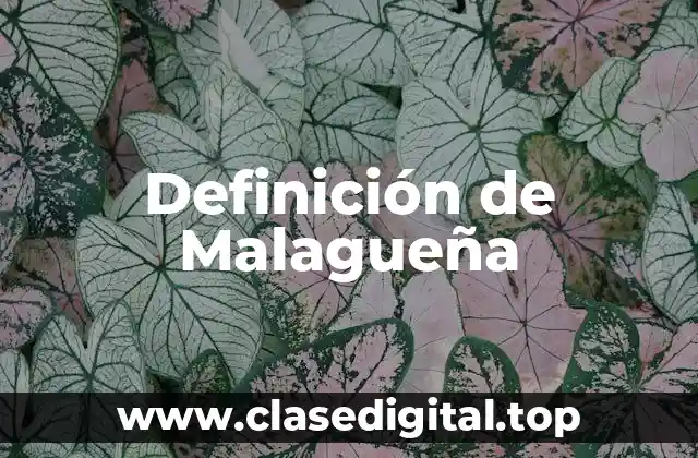 Definición de Malagueña