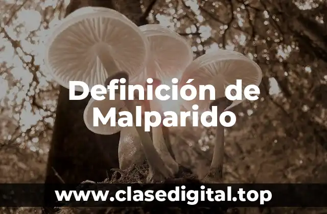 Definición de Malparido
