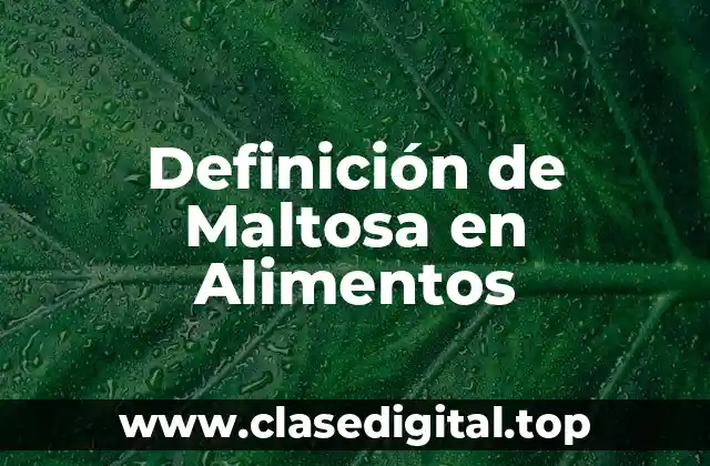 Definición de Maltosa en Alimentos