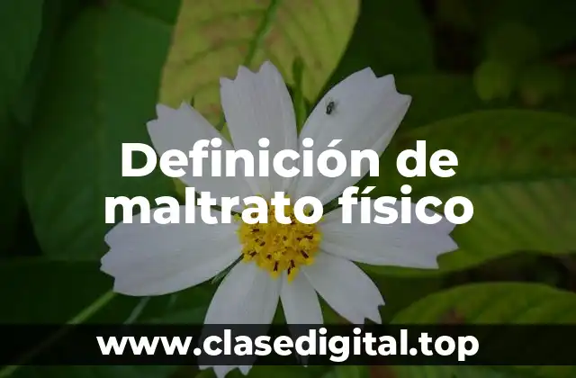 Definición de maltrato físico