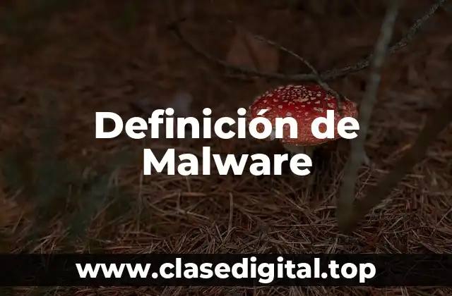 Definición de Malware