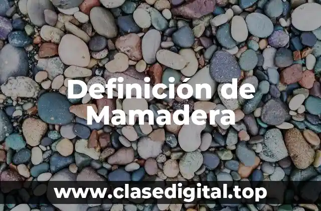 Definición de Mamadera