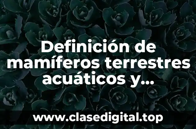 Definición de mamíferos terrestres acuáticos y voladores