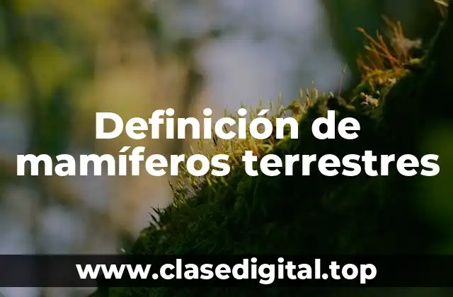 Definición de mamíferos terrestres