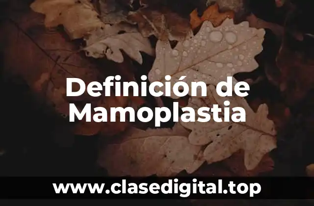 Definición de Mamoplastia