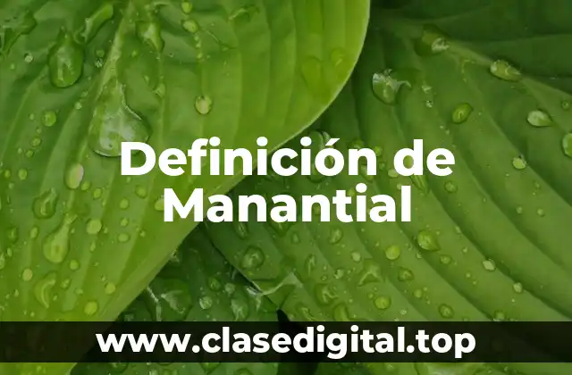 Definición de Manantial