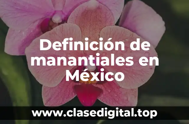 Definición de manantiales en México