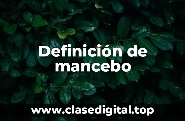 Definición técnica de mancebo