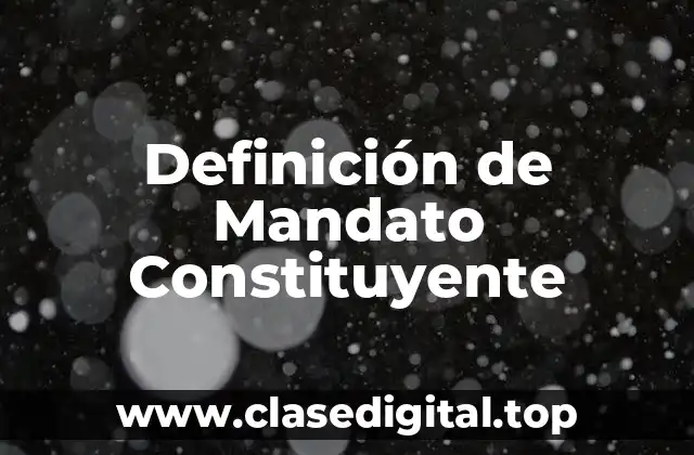 Definición de Mandato Constituyente