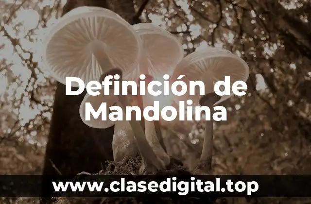 Definición de Mandolina