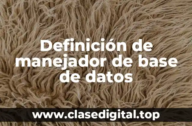 Definición de manejador de base de datos