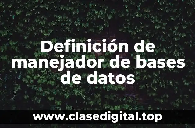 Definición de manejador de bases de datos