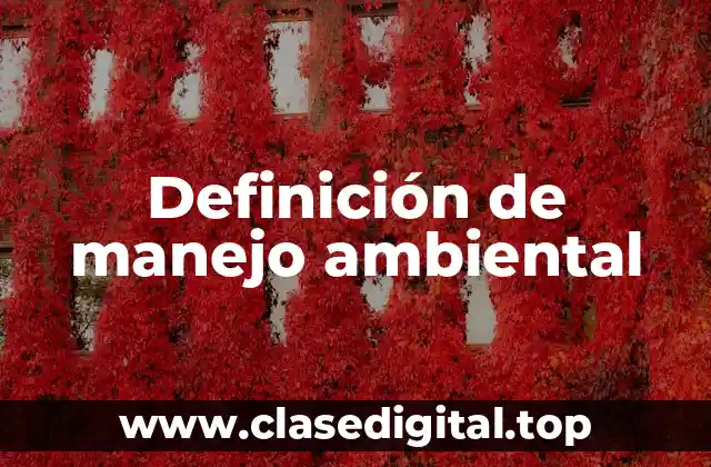 Definición de manejo ambiental
