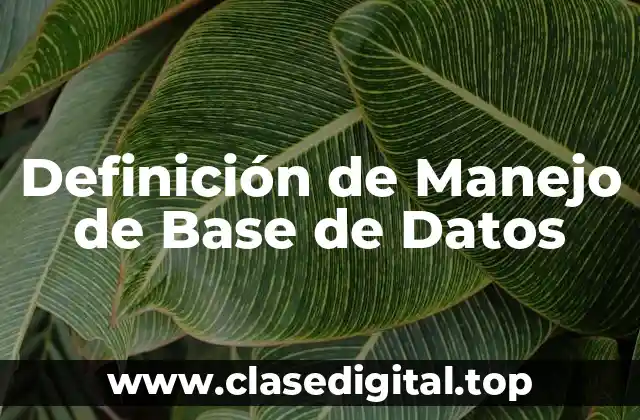 Definición de Manejo de Base de Datos