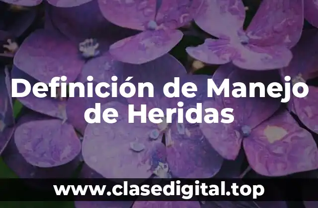 Definición de Manejo de Heridas