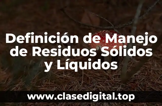Definición de Manejo de Residuos Sólidos y Líquidos