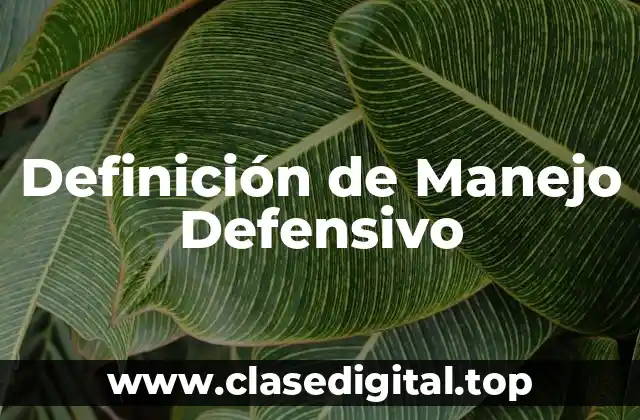 Definición de Manejo Defensivo
