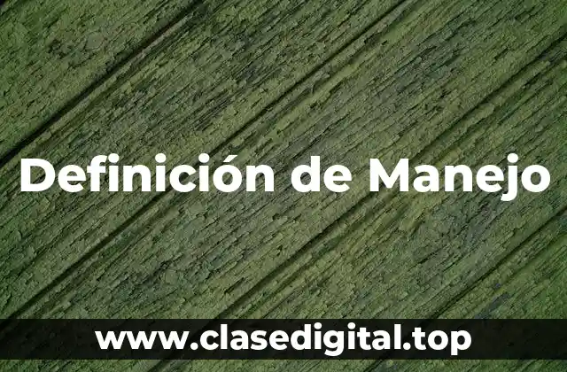 Definición de Manejo