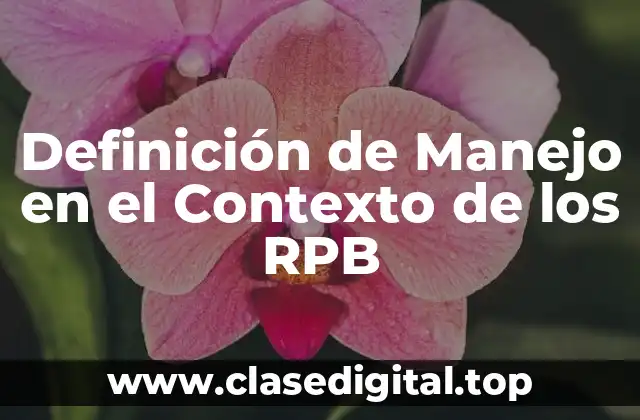 Definición Técnica de Manejo en el Contexto de los RPB