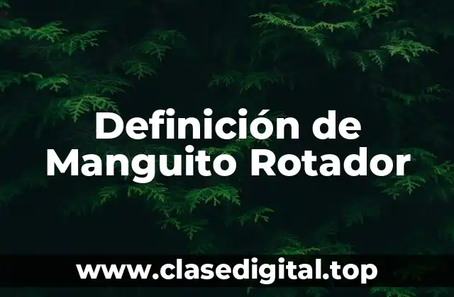 Definición de Manguito Rotador
