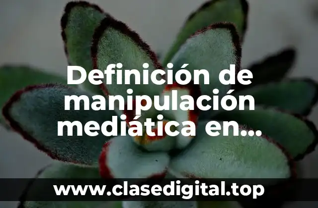 Ejemplos de manipulación mediática en Argentina