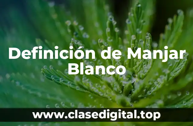 Definición de Manjar Blanco