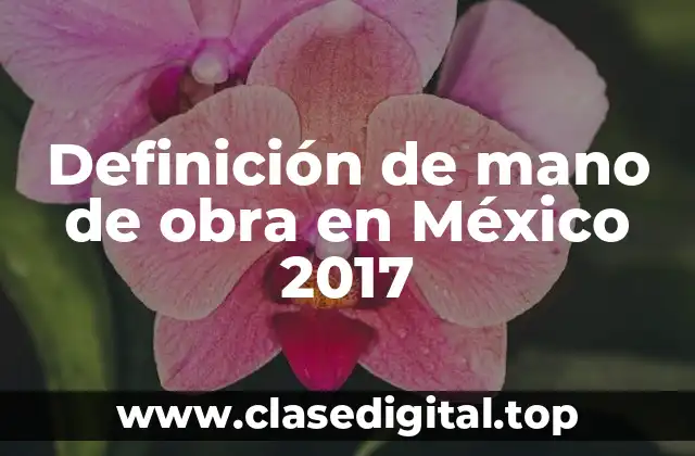 Definición técnica de mano de obra