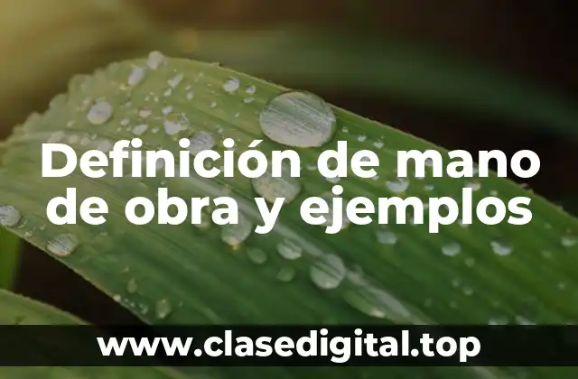 Definición de mano de obra y ejemplos