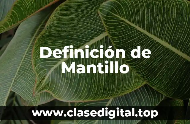 Definición de Mantillo