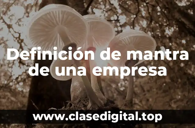 Definición de mantra de una empresa