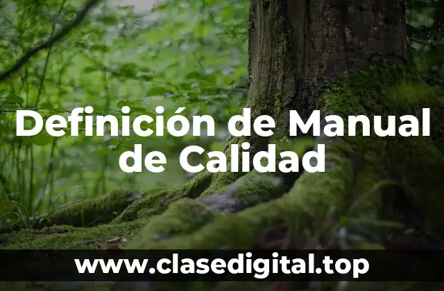 Definición de Manual de Calidad