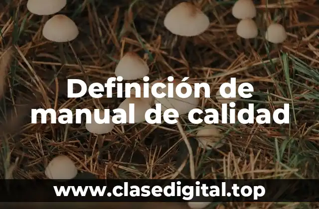 Ejemplos de manuales de calidad