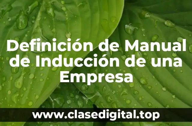 Definición de Manual de Inducción de una Empresa