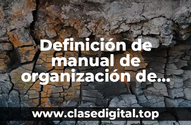 Definición de manual de organización de objetivos y funciones