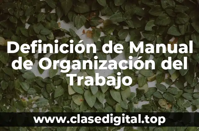Definición de Manual de Organización del Trabajo