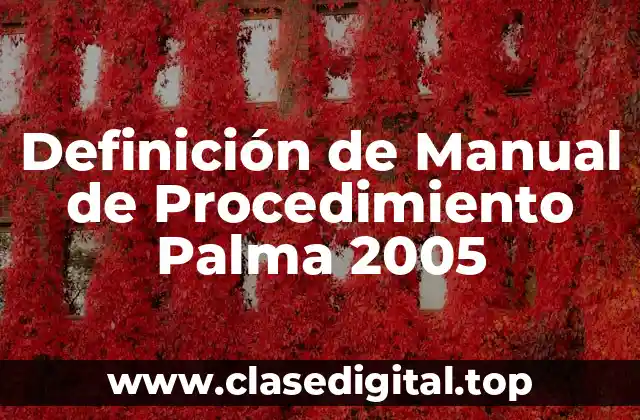 Definición de Manual de Procedimiento Palma 2005